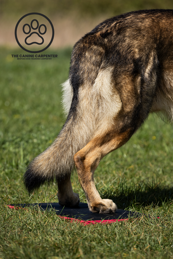 Dog Training Target Board