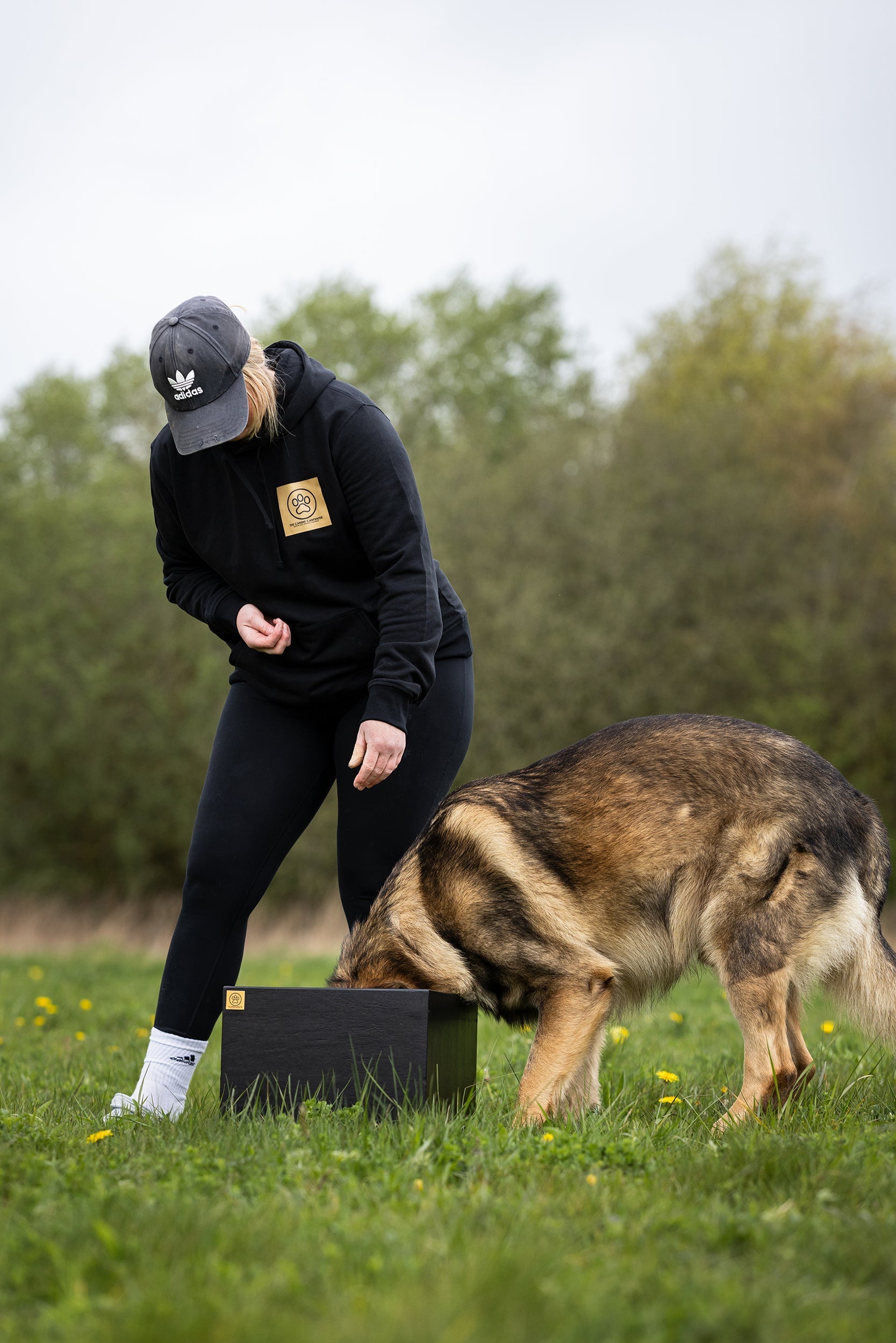 How To Care For Wooden Dog Training Equipment