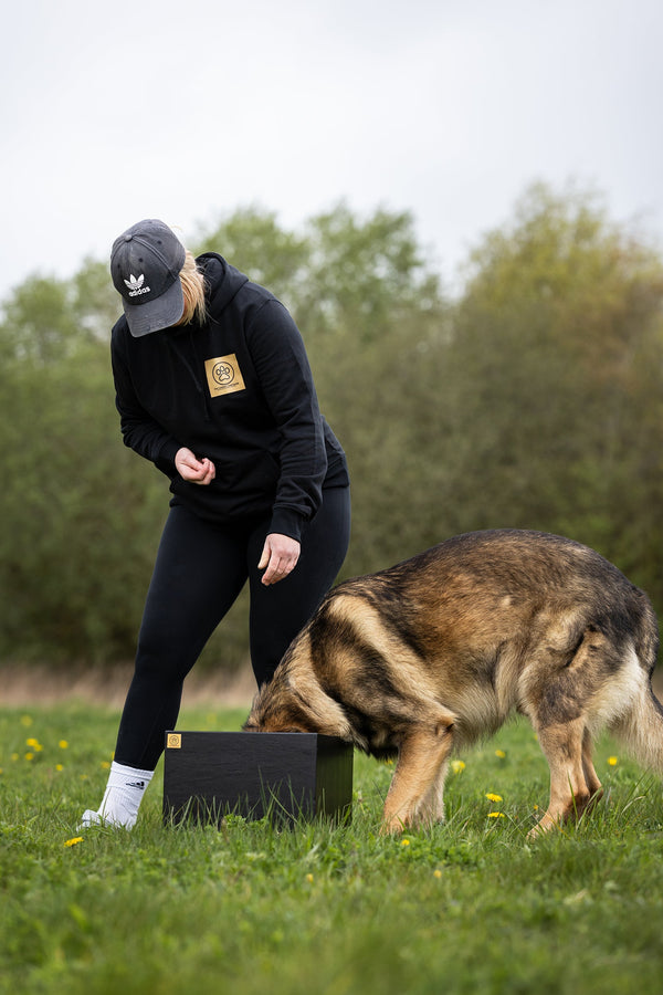 How To Care For Wooden Dog Training Equipment