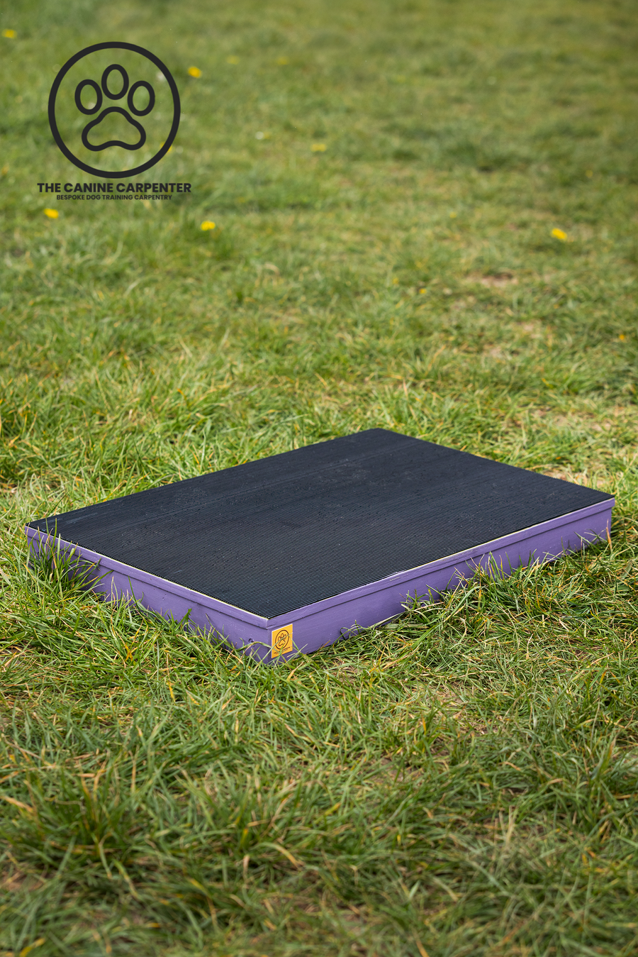 Dog Training Place Board